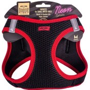 Resim Doggie Havalı Dokuma Neon Küçük Irk Göğüs Tasması Kırmızı 38-44 Cm Ang-m Çok Renkli 