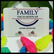 Resim FAMİLY Zirkon Taşlı Silver Renk Paslanmaz Ve Kararmaz Çelik Küpe 