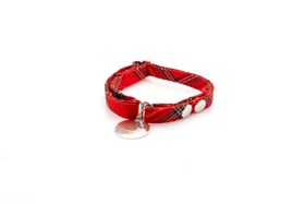 Resim Rojo Kedi Tasması 