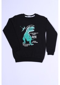Resim Hçm Erkek Çocuk Sweat Dinozor Baskılı Ribanalı C54 Siyah 