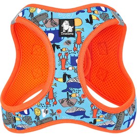 Resim Marine Step-In Turuncu Köpek Göğüs Tasması - XS 