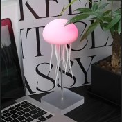 Resim RGB Gradient, Dokunmatik Sensör, Yüzen ve Masaüstü Seçenekleri, Lityum Pil, Yatak Odası, Oturma Odası, Ofis Dekoru, Masa Lambası, Atmosfer Işığı için İdeal, USB Şarj Edilebilir Ateşböceği LED Gece Lambası 