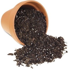 Resim Çiçek Toprağı 3 LT (1-1,50 KG) Yerli Torf Saksı Toprağı Bitki Toprağı Torf Perlit Karışımlı Torf Bahçe Toprağı 