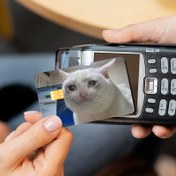 Resim 1/2/4 Adet Komik Sevimli Beyaz Kedi Kredi Kartı Stickerları - Debit Kartlar için Ağlayan Yavru Kedi Tasarımı, Açık Bej Koruma & Kişiselleştirme, Kart Sahipleri İçin Mizahi Aksesuar, Ödeme Ekipmanı, Oyuncu Tasarım, Parlak Yüzey 