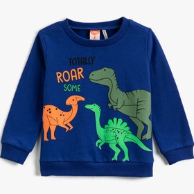 Resim Erkek Bebek Dinozor Baskılı Sweatshirt Uzun Kollu Bisiklet Yaka 