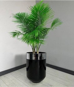 Resim Dekoratif Krom Darbuka Parlak Siyah Saksı 60cm 