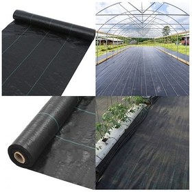 Resim SERA / BAHÇE TABAN ÖRTÜSÜ 3 X 10 M ( 30 m2 Malç Örtüsü) 