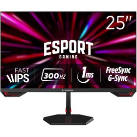 Resim Rampage CRIMSON CR25R300F 25 300Hz 1ms CSOT FAST IPS FHD Freesync/G-Sync PC Flat Oyuncu Monitörü 