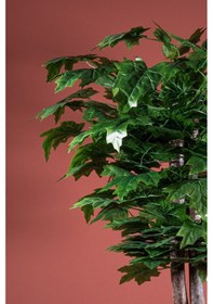 Resim Yapay Çiçekçiniz 120 Cm Yapay Çınar Ağacı 