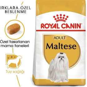 Resim Royal Canin Maltese Yetişkin Kuru Köpek Maması 1.5kg 