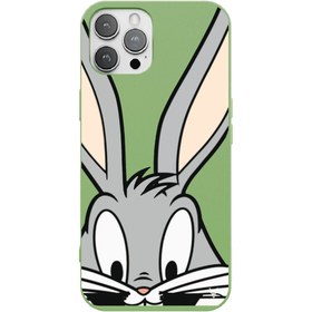 Resim iPhone 12 Pro Max Bunny Telefon Kılıfı 