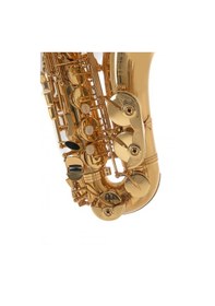 Resim Roy Benson As-202 Alto Saksafon Başlangıç/eğitim - Eb Alto Pi 