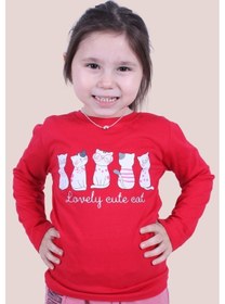 Resim 3'lü Cat Meow-free To Fly-lovely Cute Cat Baskılı Kız Çocuk Uzun Kol Kırmızı-beyaz-gri Sweatshirt Çok Renkli 