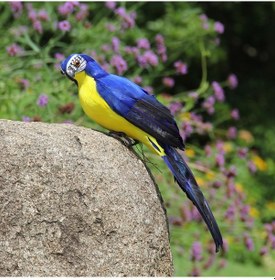 Resim 25cm Simülasyon Papağan Simülasyonu Amerika Papağanı Bahçe Bitkileri Dekorasyonu Mavi 