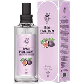 Resim Nessiworld Rebul Kolonya Sprey 100 Cc Fig Blossom 