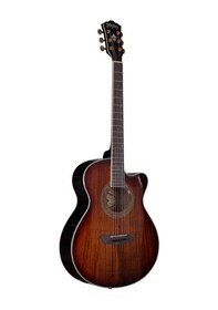 Resim Washburn Ea55g Festival Elektro Akustik Gitar Profesyonel - Sahn 
