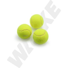 Resim Walke Başlangıç Seviye Antrenman İçin 3 Adet Tenis Topu 
