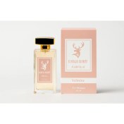 Resim RANSA WHITE Velmira Kadın Parfümü 110 ml 