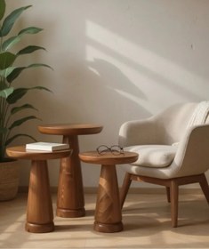 Resim ASELYA HOME Doğal Ahşap 3’lü Set Mantar Yan Sehpa Modern Fiskos Zigon Çiçeklik 