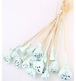 Resim 20 Adet Bambu Şiş Saplı Mini Lotus Çiçeği Plant Uçuk Mavi Gerçek Lotus 