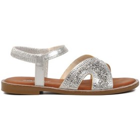Resim Ayakmod 286069 Gümüş Kadın Sandalet 001 