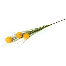 Resim Sarı Soğan Çiçeği 95 cm 