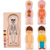 Resim Ipoearthu Ahşap Insan Vücudu Yapısı Bulmacası Çocuklar Için Çok Katmanlı Uçak Bulmacası Erken Çocukluk Eğitimi Oyuncakları, Erkek Çocuk (Yurt Dışından) 