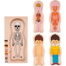 Resim Ipoearthu Ahşap Insan Vücudu Yapısı Bulmacası Çocuklar Için Çok Katmanlı Uçak Bulmacası Erken Çocukluk Eğitimi Oyuncakları, Erkek Çocuk (Yurt Dışından) 