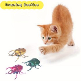 Resim 2 adet/1 adet, Kedi Oyuncak - Büyük Koşan Sinek - Simüle Sinek Evcil Hayvan Oyuncak - Rüzgarla Çalışan Kedi Oyuncak - Kediler Sever Bir Hareketli Böcek Oyuncak - Büyük Boy, Arkadaşlar İçin Mükemmel, Pil Gerektirmez 