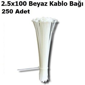 Resim 2.5x100 Beyaz Kablo Bağı 