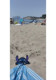 Resim Dikişli Plaj Havlusu Klipsi Çok Renkli 