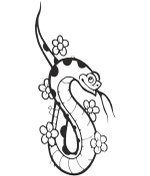 Resim Yılan Folyo Sticker Derstve46130 130cm Uzunluk Siyah 