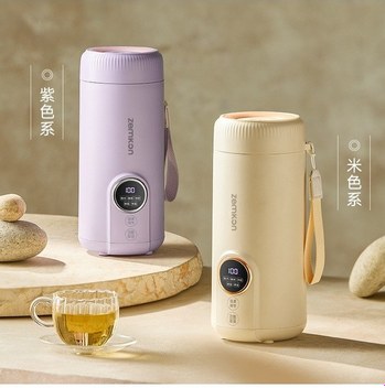 Zemkon Elektrikli Su Isıtıcısı 500 ML