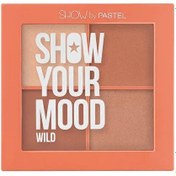 Resim Show by pastel allık paleti wild 441 