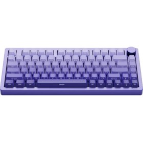 Resim Philips Evnıa SPK8618 Mekanik Rgb 81 Tuş Usb/bluetooth/2.4g Kablosuz Oyuncu Klavyesi Mor 