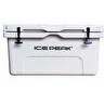 Resim IcePeak Aden Plus 65 L Buzluk 