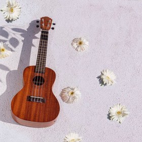 Resim Kozmos KUK-CE Elektro Concert Ukulele 