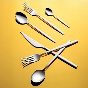 Resim Emsan Evelyn 72 Parça Lüks Kutulu Çatal Kaşık Bıçak Takımı Platin 