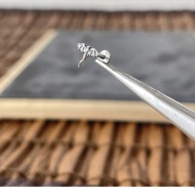 Resim %100 Cerrahi Çelik Dragon 6 X 1.2 MM Çelik Labret Piercing Gümüş 