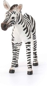 Resim Schleich Yavru Zebra 14811 