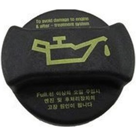 Resim Hyundai Santa Fe Yağ Kapaği 2000-2015 2651026600 40700167 2.0 Crdı, 2.2 Crdı 