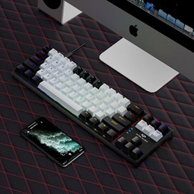 Resim Valkyrie Blue Switch Dark Alien K710 71 Tuş RGB Gaming Klavye Mekanik Mavi Tuş Type-C 2 Kademe Yükseklik Siyah Beyaz 