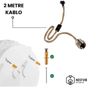 Resim Dekoratif Altın Boynuzlu Koç Başlı Duvar Lambası Şık ve Modern Aydınlatma 