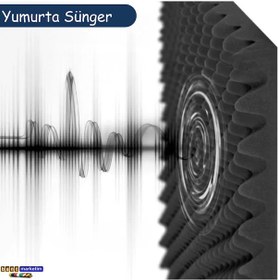 Resim 50mm Yanmaz Akustik Yalıtım Yumurta Sünger 50 Dns 100cmx100cm 1m² 