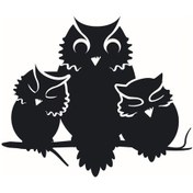 Resim Baykuş Ailesi 70x56 Cm Lcst Lcst 