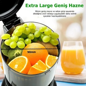 Resim Rowenger Slow Juicer Yavaş Sıkım Katı Meyve Sıkacağı Soğuk Sıkım Meyve Sıkacağı 