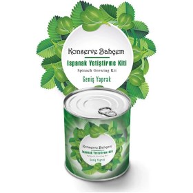 Resim Marsilyan Buffer® Konserve Bahçem Evde Konservede Kolay Ispanak Yetiştirme Kiti 