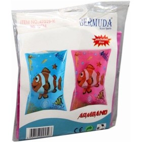 Resim Kolluk 30x15 Cm Nemo Balık Çok Renkli 