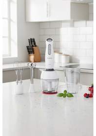 Resim Homend Handmaid 1904H Blender Set 