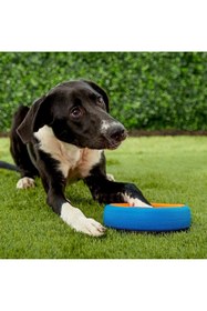 Resim Hype Store Chuckit! Fetch Wheel Köpek Oyun Halkası (Küçük Boy) 